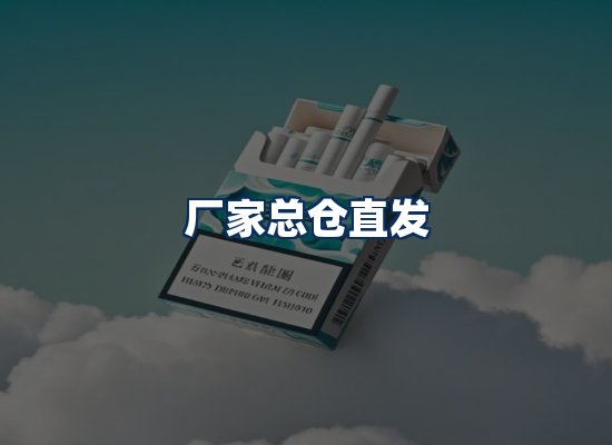 专业团队办公环境